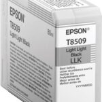 Картридж Epson C13T850900