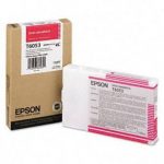 Картридж Epson C13T605300