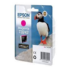 Картридж Epson C13T32434010