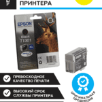 Струйный картридж Epson T1301 Black (C13T13014012)
